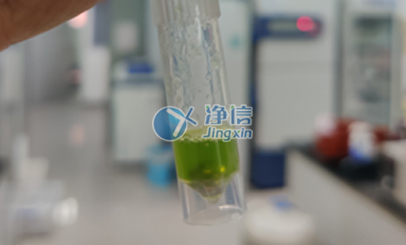 多樣品組織研磨機在浙江大學(xué)農(nóng)學(xué)院進(jìn)行番茄葉片研磨實驗